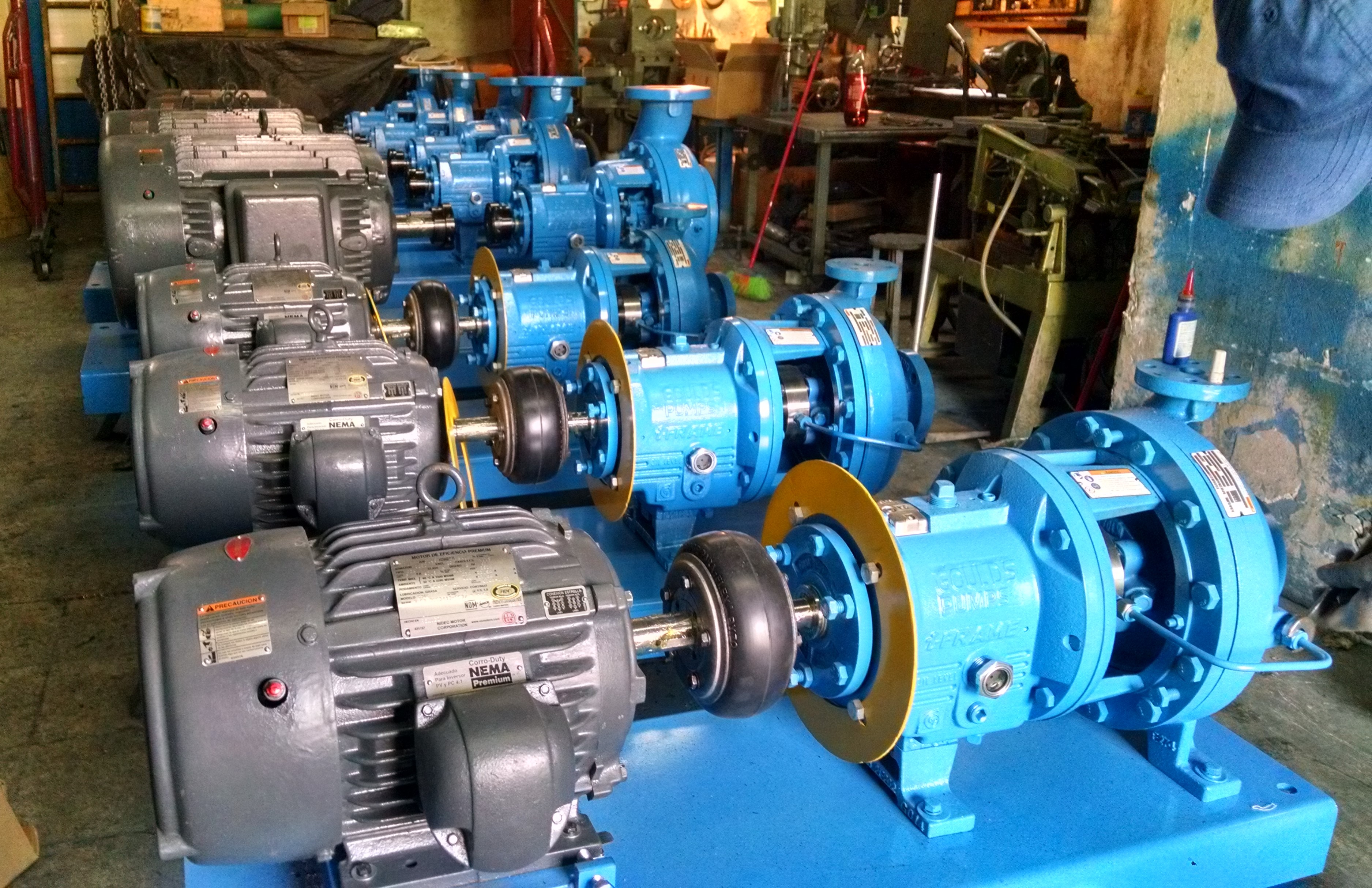 GOULDS 3196 MTI LTI DODGE PX ECOFLUSA