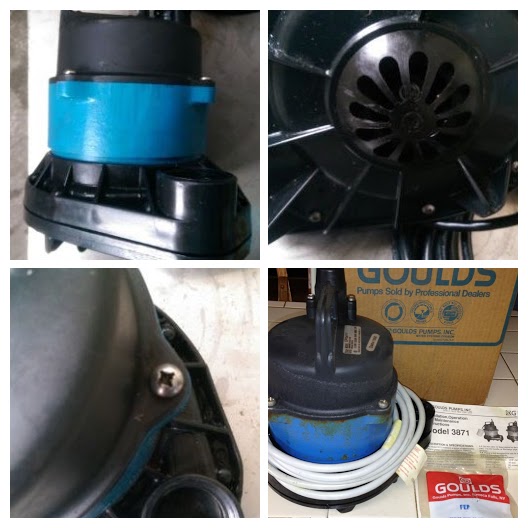 GOULDS 3871 ECOFLUSA-COLLAGE