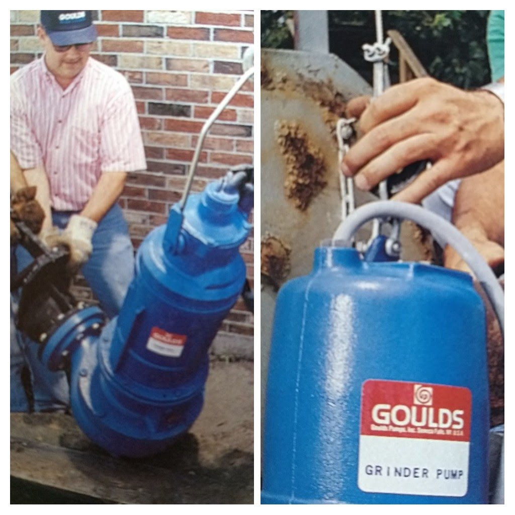 GOULDS ECOFLUSA COLLAGE