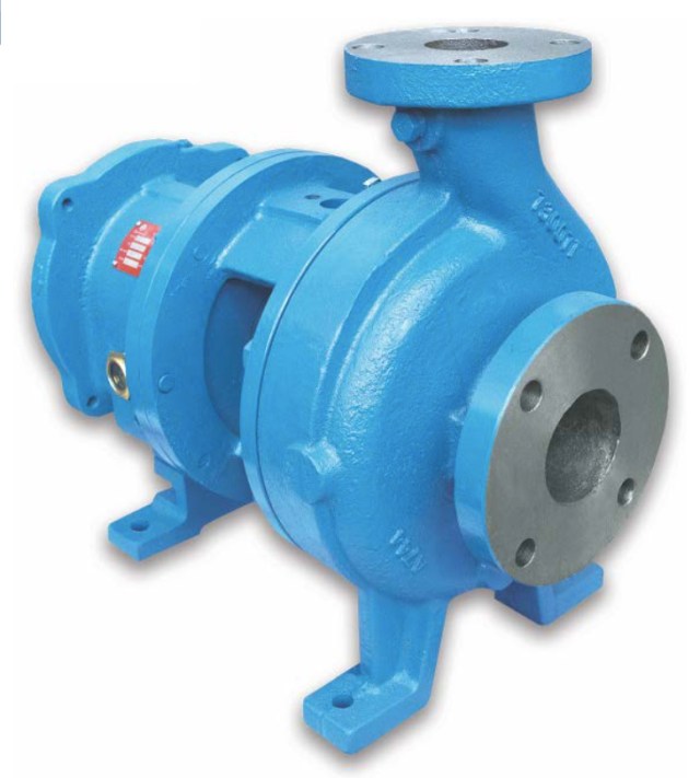 MANN PUMPS